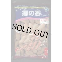 [落花生]　郷の香　1L(約700粒)　渡辺農事（株）