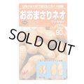 送料無料　[落花生]　おおまさりネオ　むき実種子　20粒　渡辺農事（株）