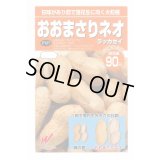 送料無料　[落花生]　おおまさりネオ　むき実種子　20粒　渡辺農事（株）