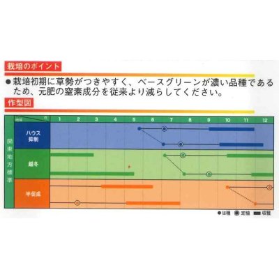 画像3: [トマト]　大玉トマト　TYみそら86　100粒　ヴィルモランみかど