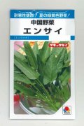 送料無料　中国野菜　エンサイ　13ml　タキイ種苗　MF