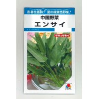 中国野菜　エンサイ　13ｍｌ　タキイ種苗　MF