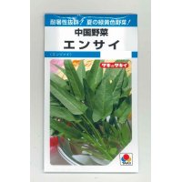 中国野菜　エンサイ　13ml　タキイ種苗　MF