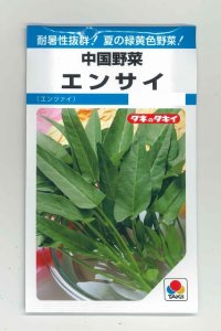 中国野菜　エンサイ　13ml　タキイ種苗　MF