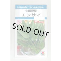 送料無料　エンサイ　13ml　タキイ種苗　MF