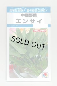 送料無料　エンサイ　13ml　タキイ種苗　MF