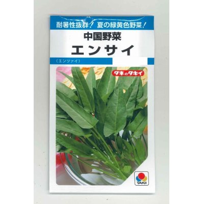 画像1: 中国野菜　エンサイ　13ml　タキイ種苗　MF
