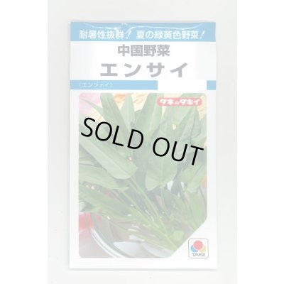 画像1: エンサイ 13ml タキイ種苗 MF