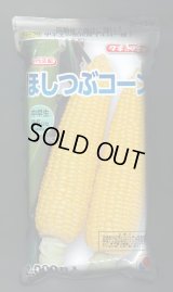 [とうもろこし]　ほしつぶコーン　2000粒　タキイ種苗