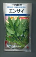 送料無料　中国野菜　エンサイ　1dl(およそ1945粒)タキイ種苗