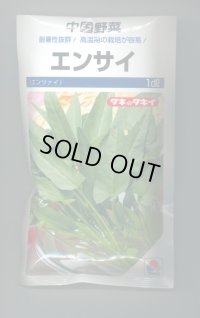 送料無料 エンサイ 1dl(およそ1945粒)タキイ種苗