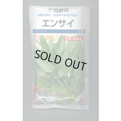 画像1: 送料無料 エンサイ 1dl(およそ1945粒)タキイ種苗