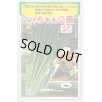 送料無料　[ねぎ]　ちゃんこ葱2　20ml　トキタ種苗(株)