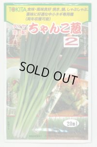 送料無料　[ねぎ]　ちゃんこ葱2　20ml　トキタ種苗(株)