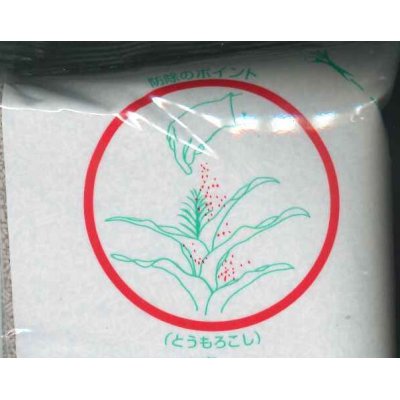 画像2: 農薬　殺虫剤　デナポン粒剤5　1kg　