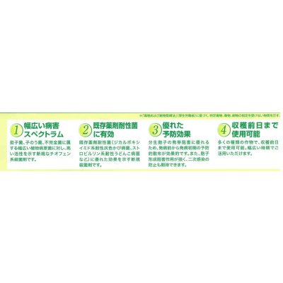 画像7: 農薬　殺菌剤　アフェットフロアブル　100ml　三井化学アグロ株式会社