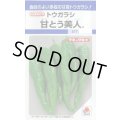 送料無料　[とうがらし]　甘とう美人　35粒　タキイ種苗(株)　DF