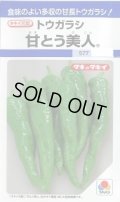 送料無料　[とうがらし]　甘とう美人　35粒　タキイ種苗(株)　DF