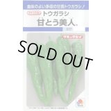 送料無料　[とうがらし]　甘とう美人　35粒　タキイ種苗(株)　DF