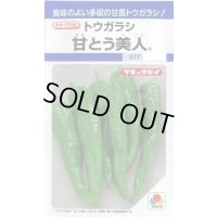 送料無料　[とうがらし]　甘とう美人　35粒　タキイ種苗(株)　DF