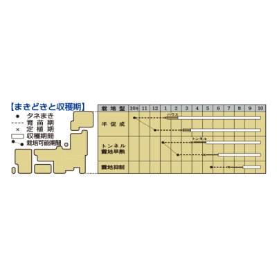 画像2: [なす]　ＳＬ紫水　35粒　タキイ種苗（株）　DF　