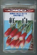 送料無料　[大根]　はつかだいこん　紅白　2dL　(株)サカタのタネ