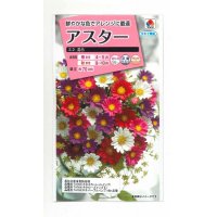 花の種　アスター　ネネ 混合　小袋　タキイ種苗（株）(NL300)