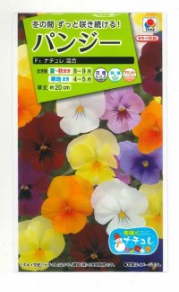 送料無料　花の種　パンジー　パンジー・F1ナチュレ　混合　小袋　タキイ種苗(ＮL200)