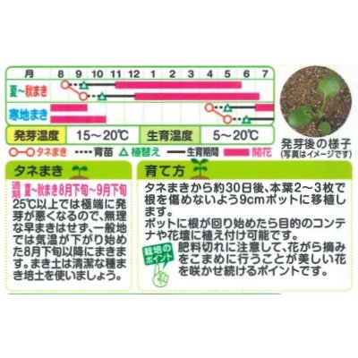 画像2: 送料無料　花の種　パンジー　パンジー・F1ナチュレ　混合　小袋　タキイ種苗(ＮL200)