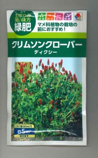 [景観形成作物]　緑肥用クリムソンクローバー　ディクシー　60ml 　タキイ種苗