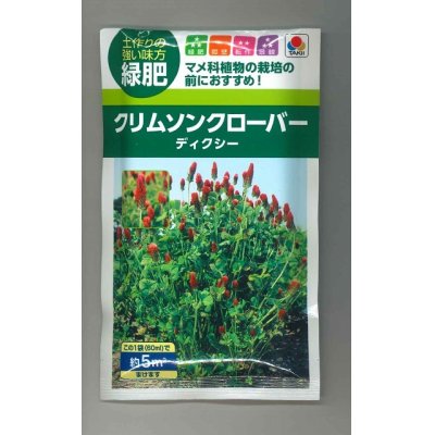 画像1: [景観形成作物]　緑肥用クリムソンクローバー　ディクシー　60ml 　タキイ種苗