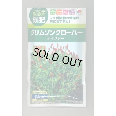 画像1: 送料無料　[緑肥]　緑肥用クリムソンクローバー　ディクシー　60ml　タキイ種苗