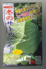 送料無料　[キャベツ]　キャベツ　極甘キャベツ　冬のサトウくん　40粒　ナント種苗(株)