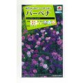 送料無料　花の種　バーベナ　ロングラン　ミックス　タキイ種苗(株)(ＮL200)