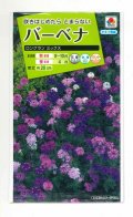 送料無料　花の種　バーベナ　ロングラン　ミックス　タキイ種苗(株)(ＮL200)