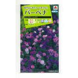 送料無料　花の種　バーベナ　ロングラン　ミックス　タキイ種苗(株)(ＮL200)