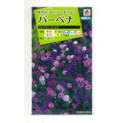画像1: 送料無料　花の種　バーベナ　ロングラン　ミックス　タキイ種苗(株)(ＮL200)