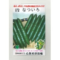 [キュウリ]　送料無料！なついろ　350粒　（株）ときわ研究場