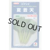送料無料　[小松菜]　夏蒼天　20ml　タキイ種苗(株)