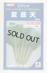送料無料　[小松菜]　夏蒼天　20ml　タキイ種苗(株)
