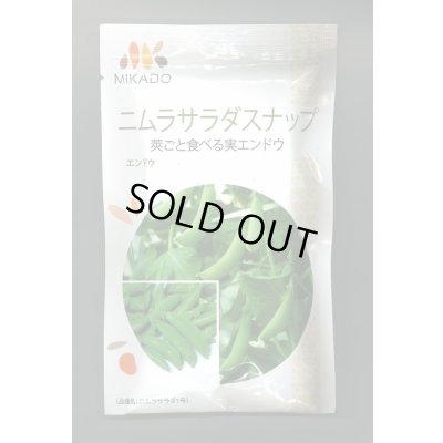 画像1: 送料無料　[えんどう]　ニムラサラダスナップ　20ml(およそ48粒)　ヴィルモランみかど