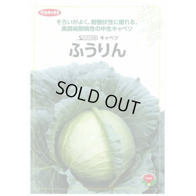 画像2: [キャベツ]　送料無料！　ふうりん　コート5000粒　　サカタ交配