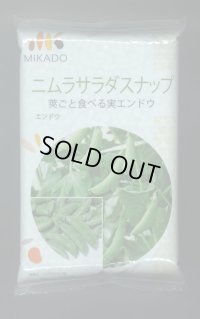 [えんどう]　ニムラサラダスナップ　1L(およそ2400粒)　ヴィルモランみかど