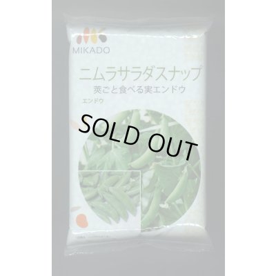 画像1: [えんどう]　ニムラサラダスナップ　1L(およそ2400粒)　ヴィルモランみかど