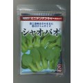 送料無料　[中国野菜]　シャオパオ(ミニチンゲンサイ)　2dl　(株)サカタのタネ