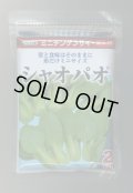 送料無料　[中国野菜]　シャオパオ(ミニチンゲンサイ)　2dl　(株)サカタのタネ