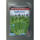 送料無料　[中国野菜]　シャオパオ(ミニチンゲンサイ)　2dl　(株)サカタのタネ