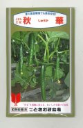 送料無料　[キュウリ]　秋華　350粒　(株)ときわ研究場