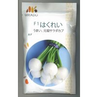 送料無料　[かぶ]　はくれい(サラダカブ)　1dl　ヴィルモランみかど