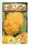 送料無料　[カリフラワー]　オレンジさん　15粒　小林種苗